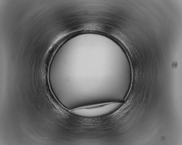 X0000098221115200805151310