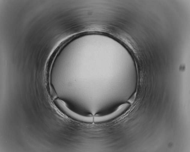 X0000098221116200805151310