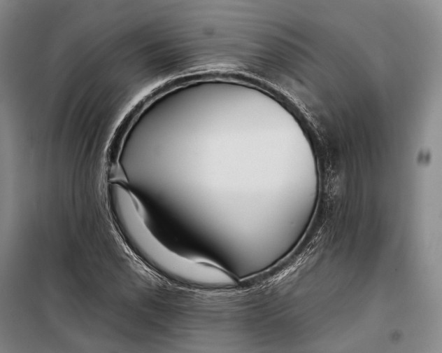 X0000098221118200805151310