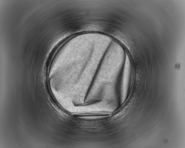 X0000098221119200805151310