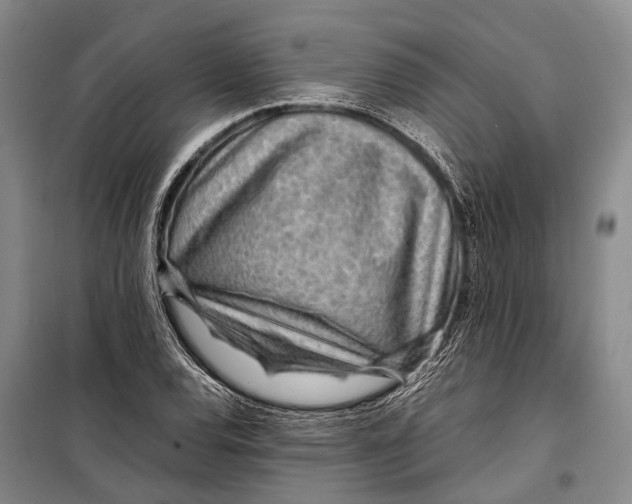 X0000098221120200805151310