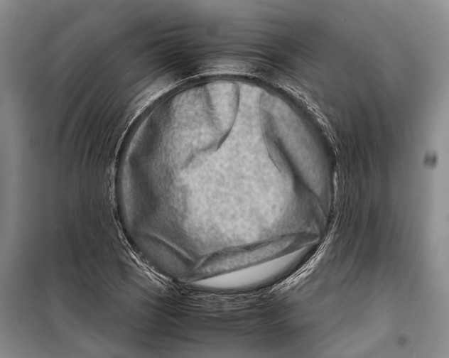 X0000098221121200805151310