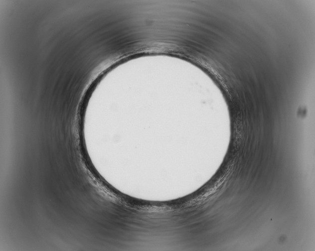 X0000098221122200805151310