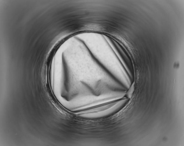 X0000098221123200805151310