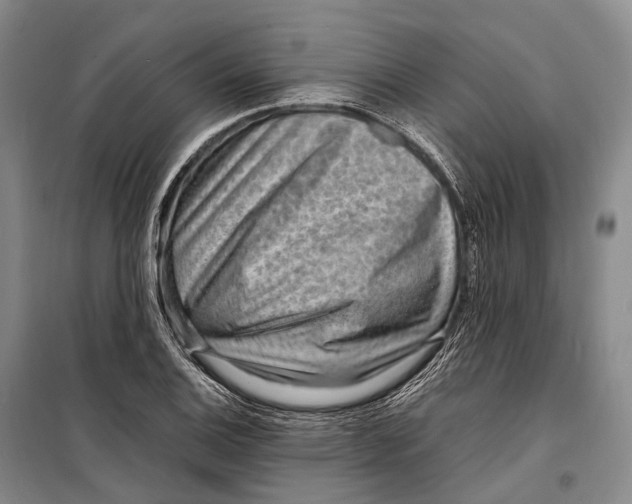 X0000098221124200805151310