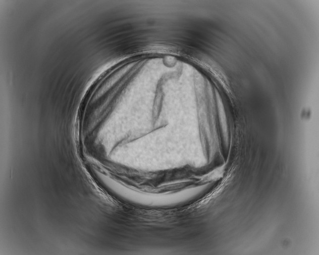 X0000098221125200805151310