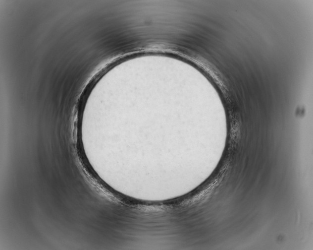 X0000098221126200805151310