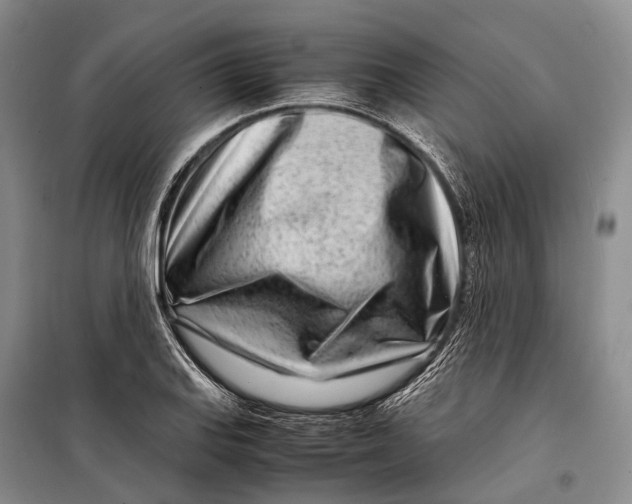 X0000098221127200805151310