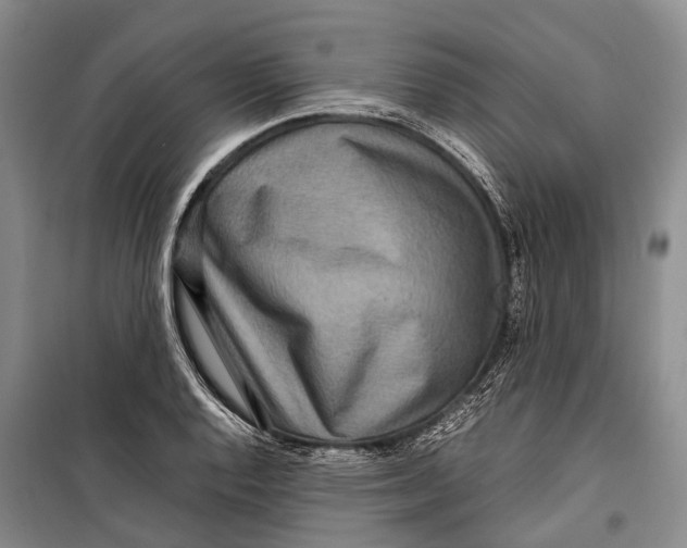 X0000098221128200805151310