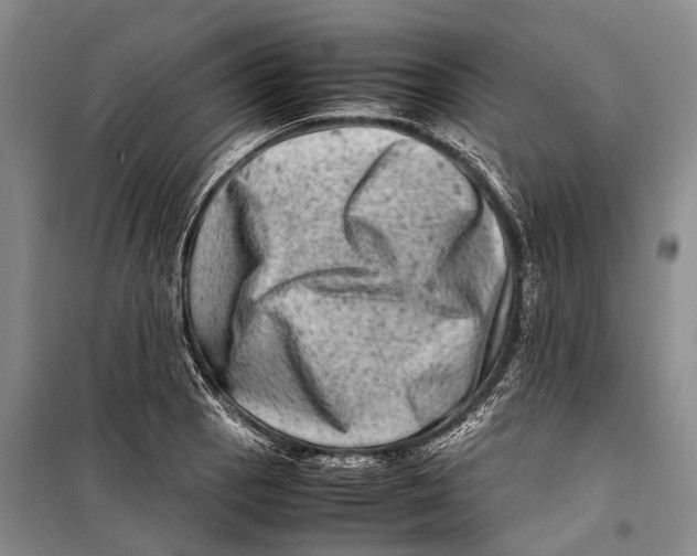 X0000098221129200805151310