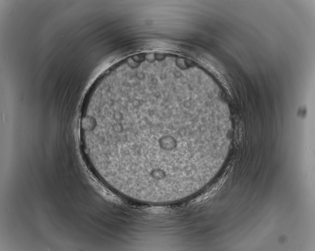 X0000098221130200805151311