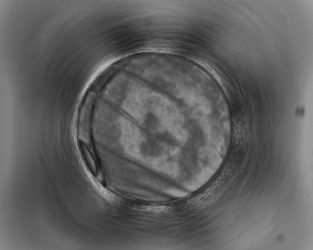 X0000098221131200805151311