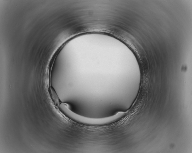 X0000098221132200805151311