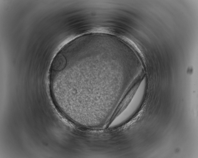 X0000098221133200805151311