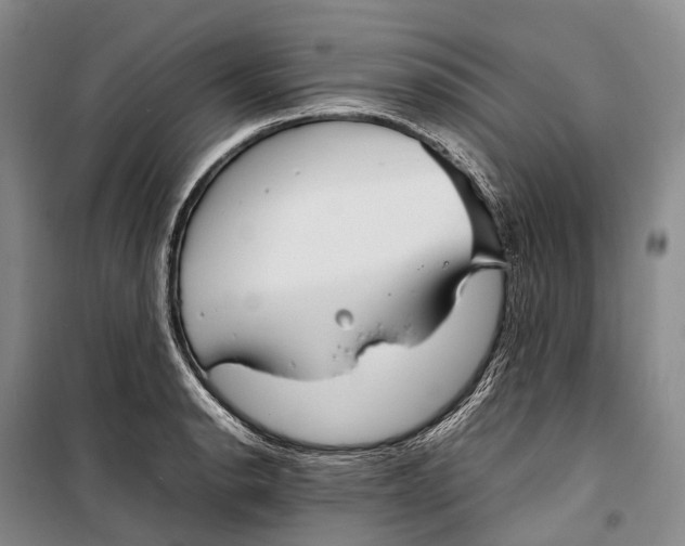 X0000098221134200805151311