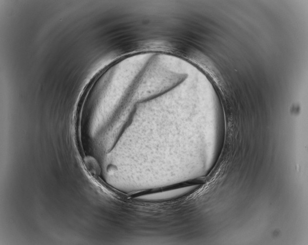 X0000098221135200805151311