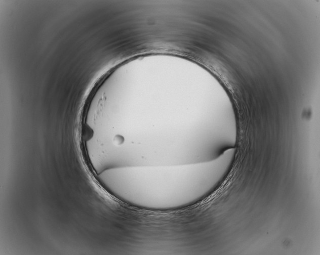 X0000098221136200805151311