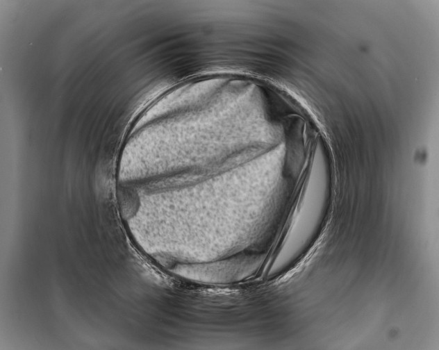 X0000098221137200805151311