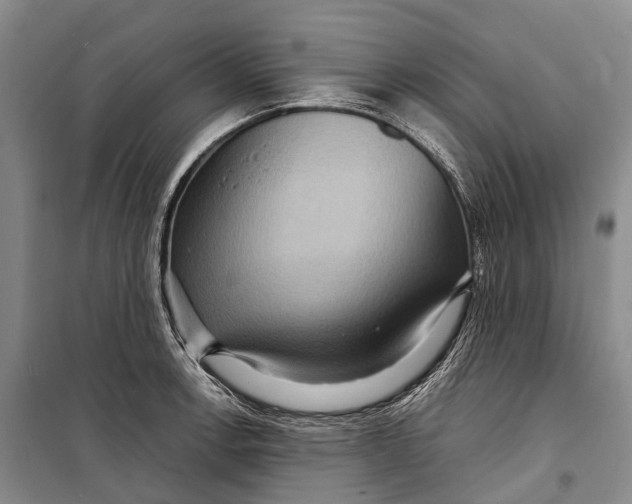 X0000098221138200805151311