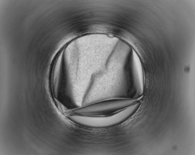 X0000098221139200805151311