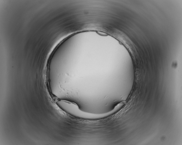 X0000098221140200805151311