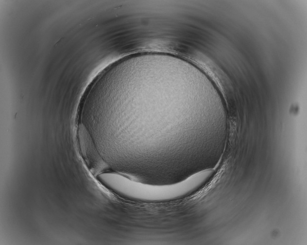 X0000098221141200805151311