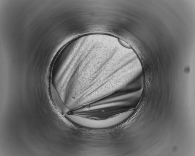 X0000098221142200805151311