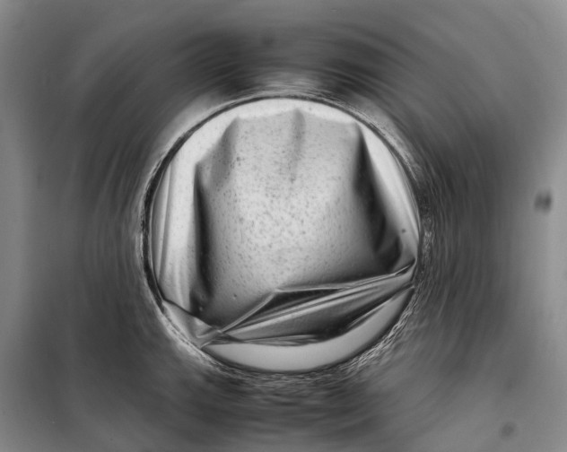 X0000098221143200805151311