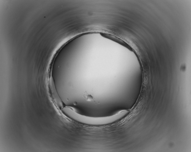 X0000098221144200805151311