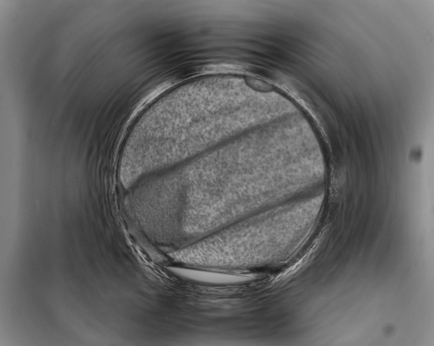 X0000098221145200805151311