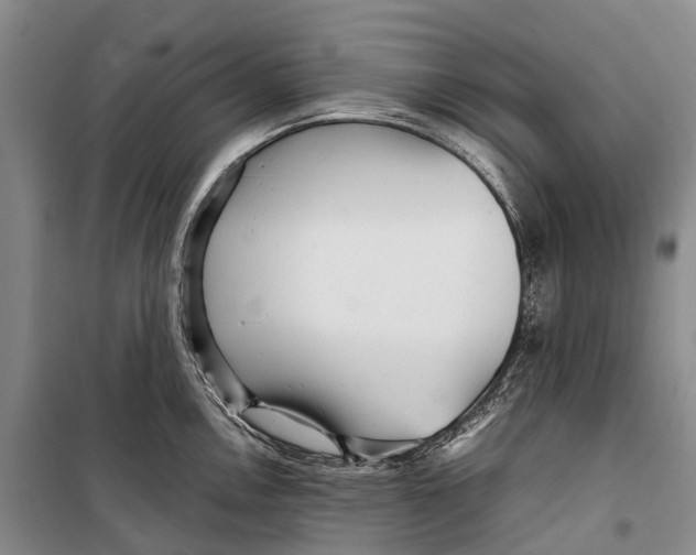 X0000098221146200805151311