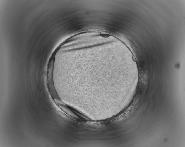 X0000098221147200805151311