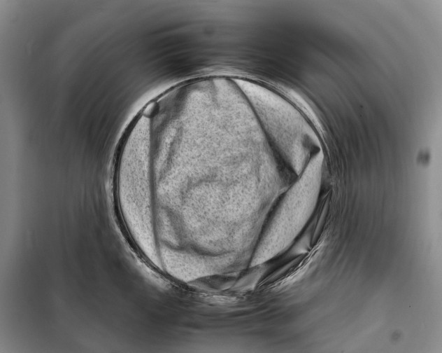 X0000098221149200805151311