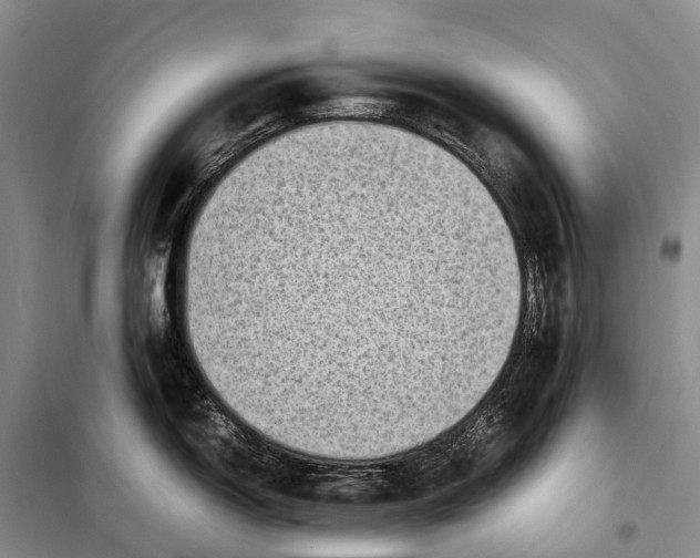 X0000098221150200805151311