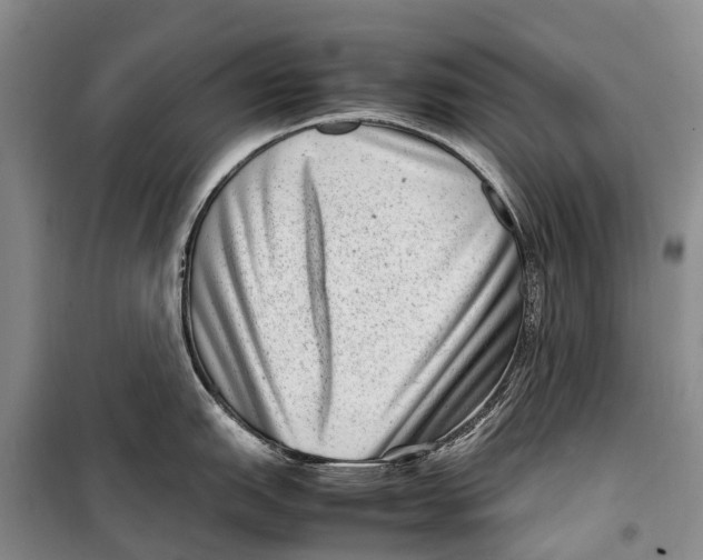 X0000098221151200805151311