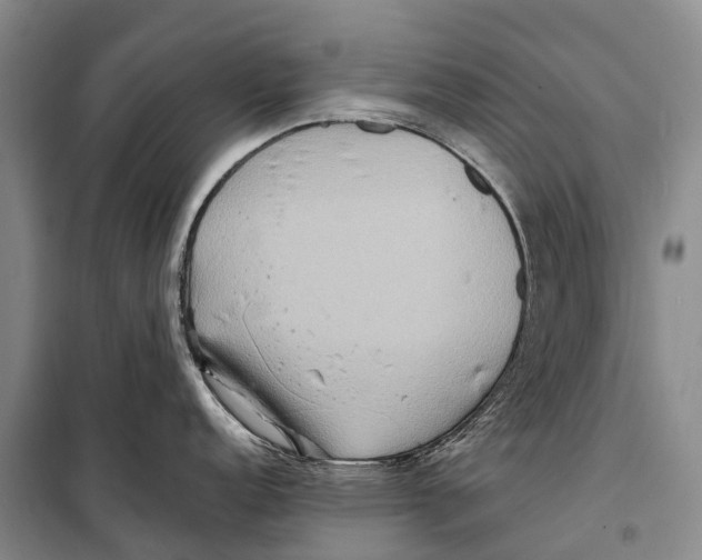 X0000098221152200805151311