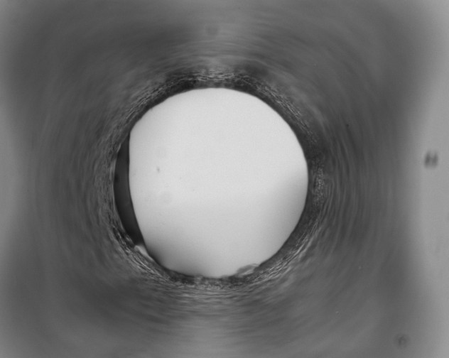 X0000098221153200805151310