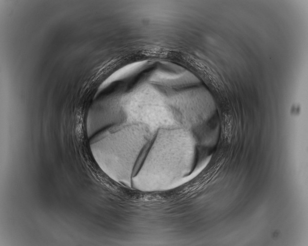 X0000098221154200805151310