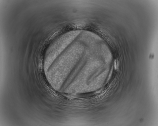 X0000098221155200805151310