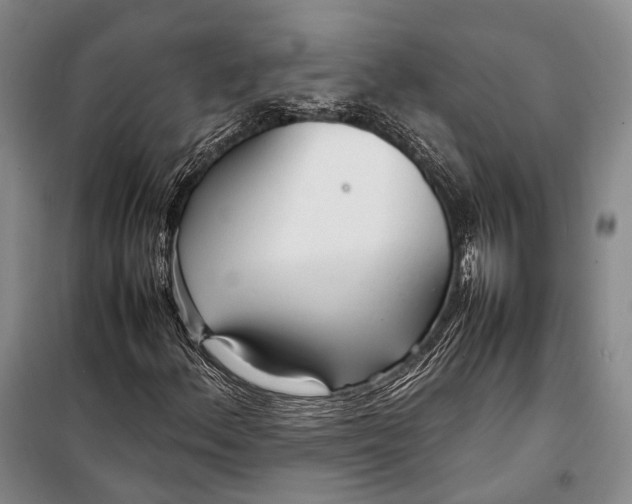 X0000098221156200805151310