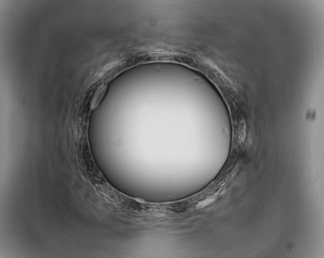 X0000098221157200805151310