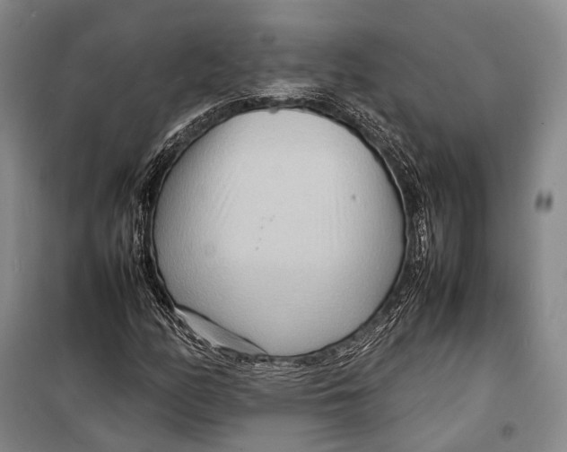 X0000098221158200805151310