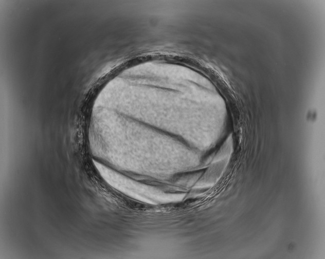 X0000098221159200805151310