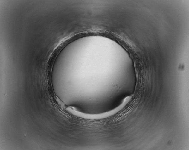 X0000098221160200805151310