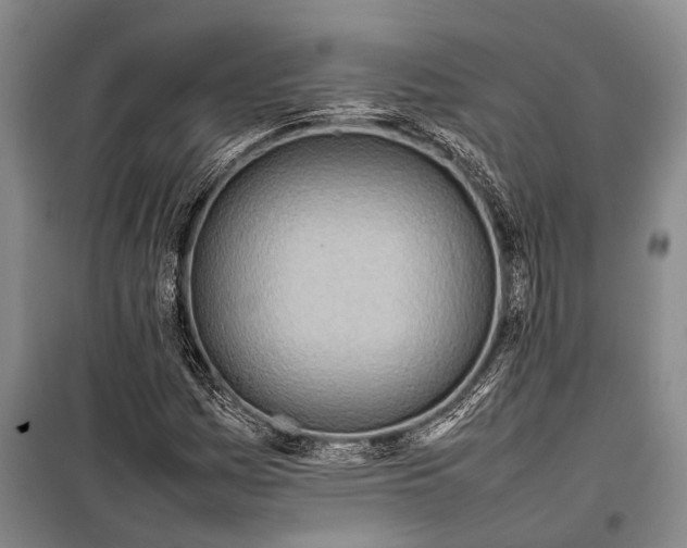 X0000098221161200805151310