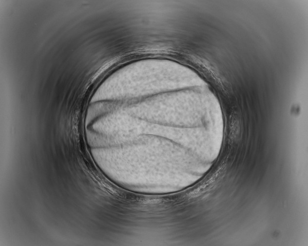 X0000098221162200805151310