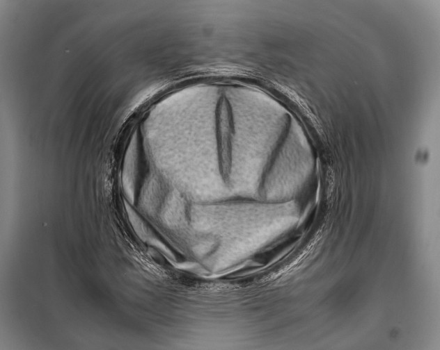 X0000098221163200805151310