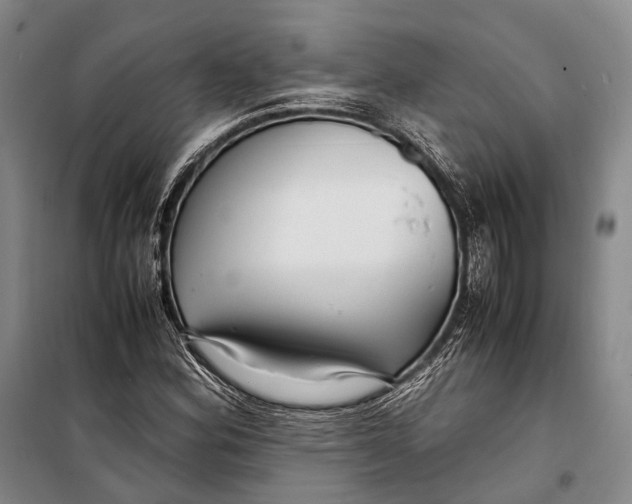 X0000098221164200805151310