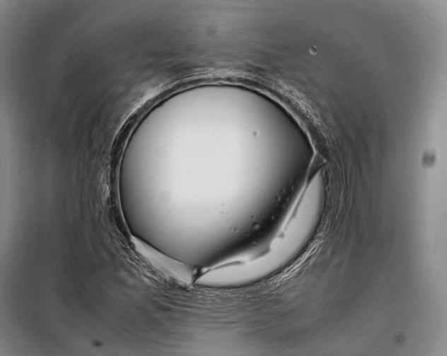 X0000098221165200805151310