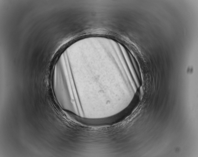 X0000098221166200805151310